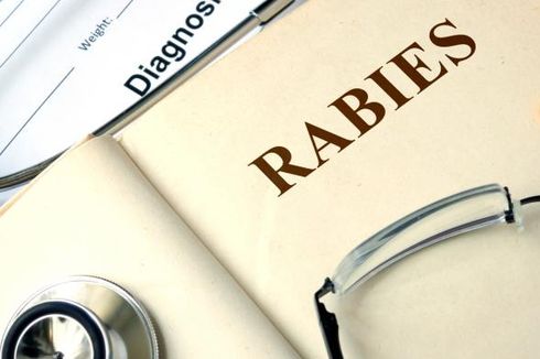 Besok, Vaksinasi Rabies Gratis Digelar di Jaksel