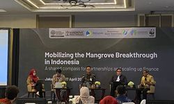 Kemenhut: 84.000 Hektare Mangrove Direhabilitasi Selama 5 Tahun Terakhir 