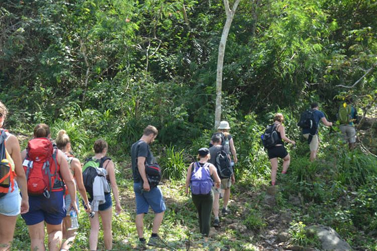 Turis melintasi kawasan hutan Mbeling dengan trekking. Turis sangat terkesan dengan keaslian alam dan hutan di kawasan Mbeling, Kecamatan Borong, Manggarai Timur,Flores, NTT, Senin (14/8/2017). 