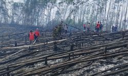 3.207 Hektare Lahan Gambut dan Tanah Mineral Kebakaran hingga April 2025