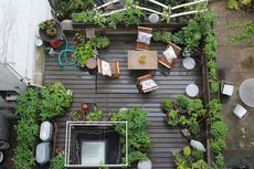 Enam Trik Berkebun di Balkon Apartemen Mungil