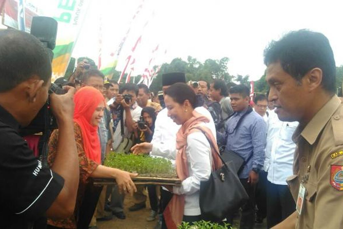 Menteri BUMN, Rini Soemarno, Menyerahkan Bibit Cabai Kepada Masyarakat Jember, Jawa Timur, di Kawasan City Forest and Farm.