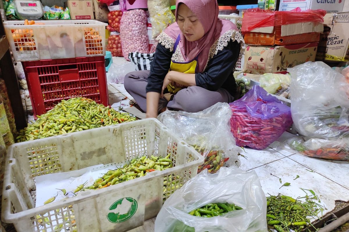 Musim Hujan Picu Harga Cabai di Demak Naik hingga Rp 70.000