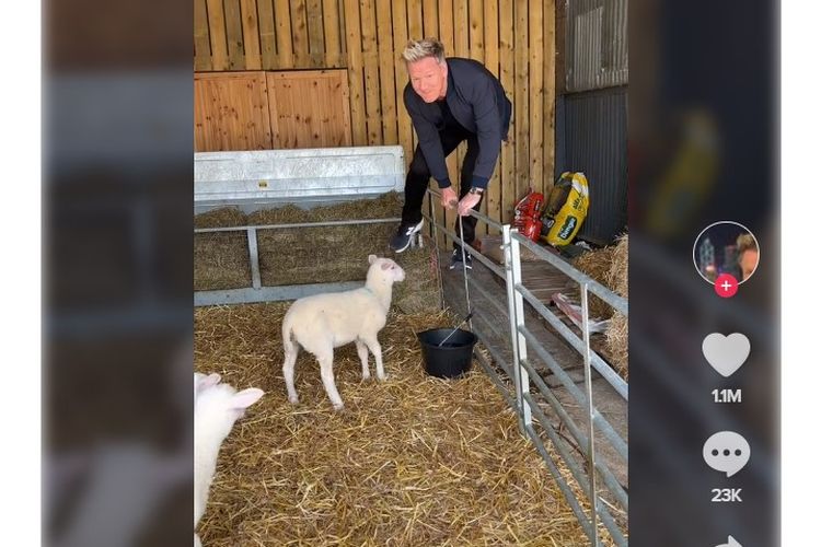 Tangkapan layar video TikTok Gordon Ramsay berjudul Lamb Day.