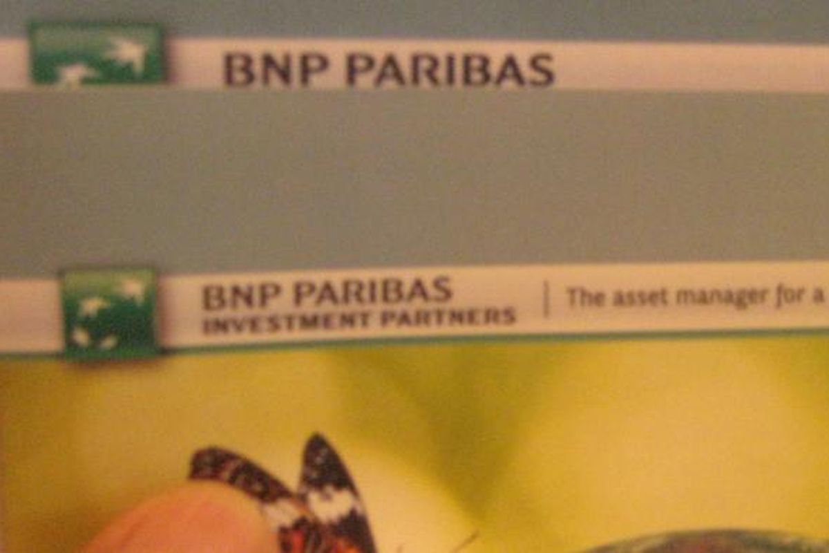 BNP Paribas Investment Partners