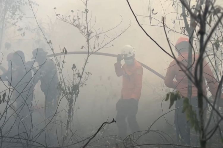 Polisi Amankan Warga yang Diduga Bakar Lahan di Biak Numfor Papua