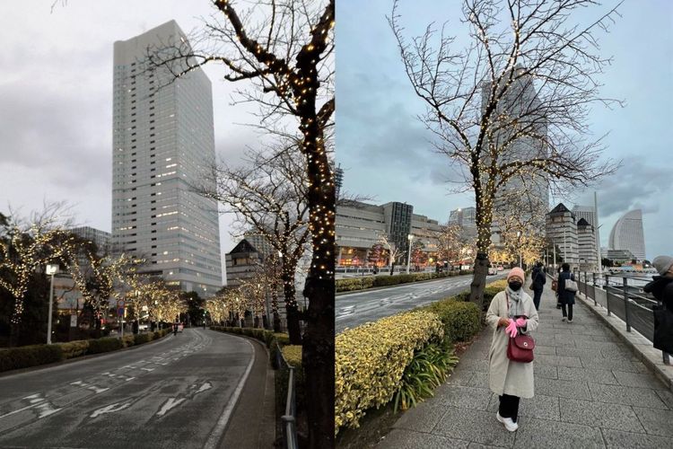 Jalanan di Yokohama, Jepang, dipenuhi pohon sakura kering, Kamis (19/01/2023).