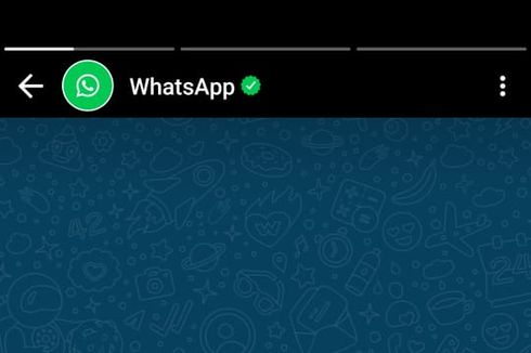 Muncul Status WhatsApp di WA Pengguna, Ada Apa?