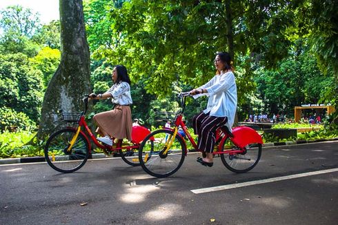Harga Sewa Sepeda dan Skuter di Kebun Raya Bali