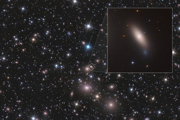Teleskop Hubble menangkap galaksi NGC 1277. Galaksi itu unik karena dianggap sebagai peninggalan dari galaksi apa yang ada di alam semesta awal.