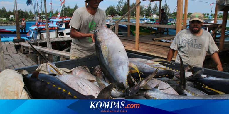 Pemerintah Akan Batasi Penangkapan Ikan di Laut Pakai Sistem Kuota - Vimarsana News