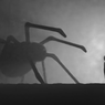 Terapi Paling Efektif Mengatasi Fobia dengan Laba-laba