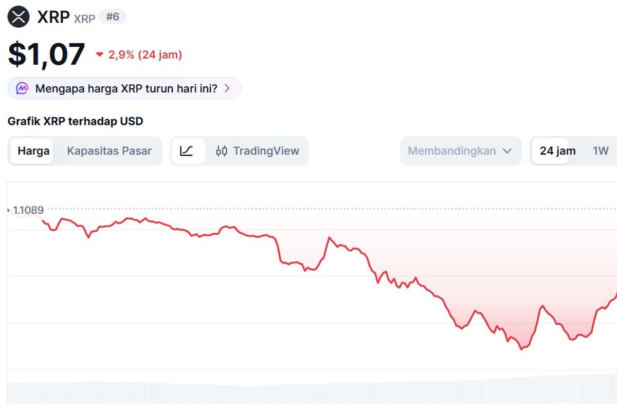 Harga XRP Hari Ini 25 Juni 2026, Terpapar Penurunan Bitcoin