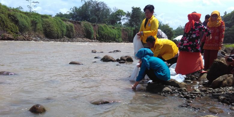 Civitas akademika Untidar Kota Magelang menebar ikan air tawar di sungai Progo, Kota Magelang, Selasa (21/3/2017).