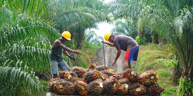 Oops, Kemenperin: Investasi Senilai Rp 32,5 Triliun Bakal Masuk ke Industri Agro