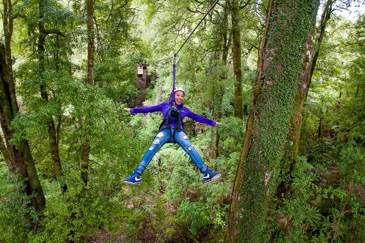 Meluncur dengan zipline di hutan alami bersama Rotarua Canopy Tour, Selandia Baru. 