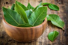 Gempa M 3,9 Terjadi di Gayo Lues Aceh