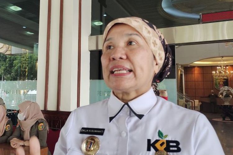 Kepala Dinas Lingkungan Hidup Provinsi Lampung Emilia Kusumawati saat memberi keterangan mengenai rencana hibah fasilitas pengelola limbah B3. Bandarlampung, Rabu (24/1/2024). 
