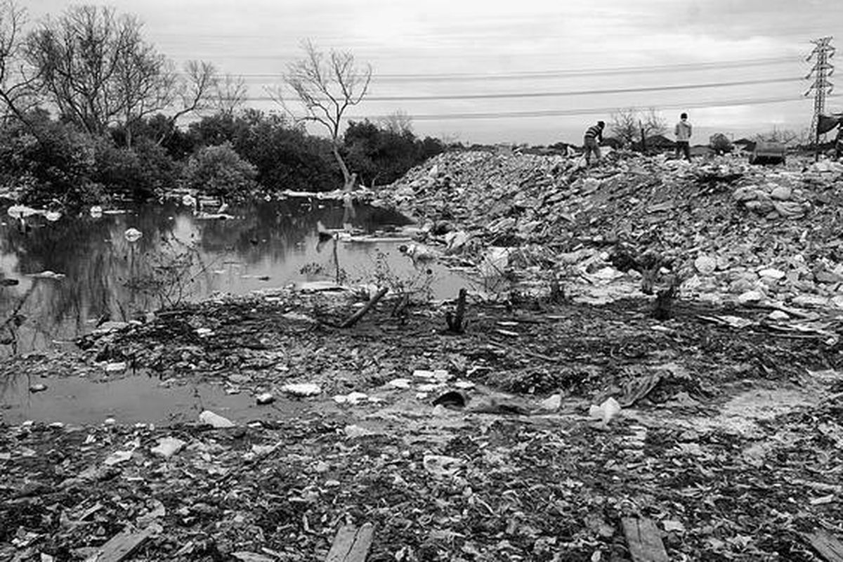 Kawasan mangrove terdesak penimbunan sampah dan puing di  Muara Angke, Jakarta, Sabtu (5/11). Kawasan mangrove di pesisir Jakarta makin tergerus dan kehilangan fungsinya, yang salah satunya untuk mencegah intrusi air laut ke darat.