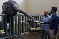 Hero Pasok Pakan Satwa Taman Safari Indonesia