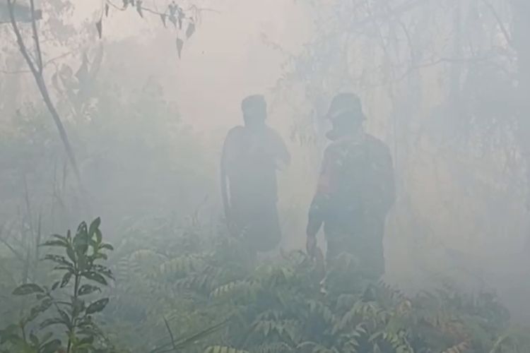 Pemerintah Bolehkan Perusahaan Sawit dan Tambang Bantu Padamkan Kebakaran Hutan
