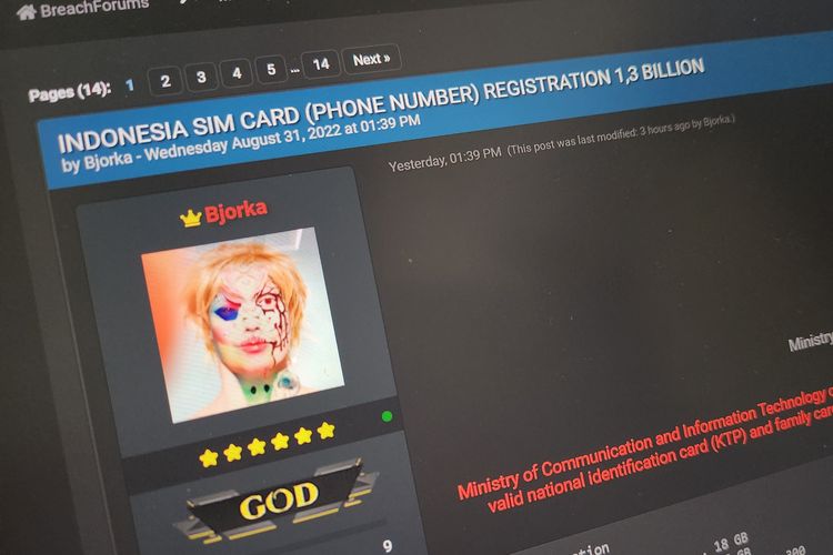 Ilustrasi Bjorka yang menjual 1,3 miliar data registrasi kartu SIM Indonesia berisi nomor HP dan NIK.