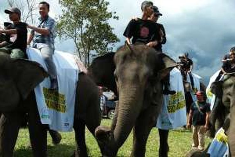 Festival Way Kambas di Pusat Konservasi Gajah (PKG) di Taman Nasional Way Kambas (TNWK) Lampung Timur, Jumat (11/11/2016).