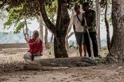 Wisatawan Wajib Didampingi Pemandu Saat Berkunjung ke TN Komodo