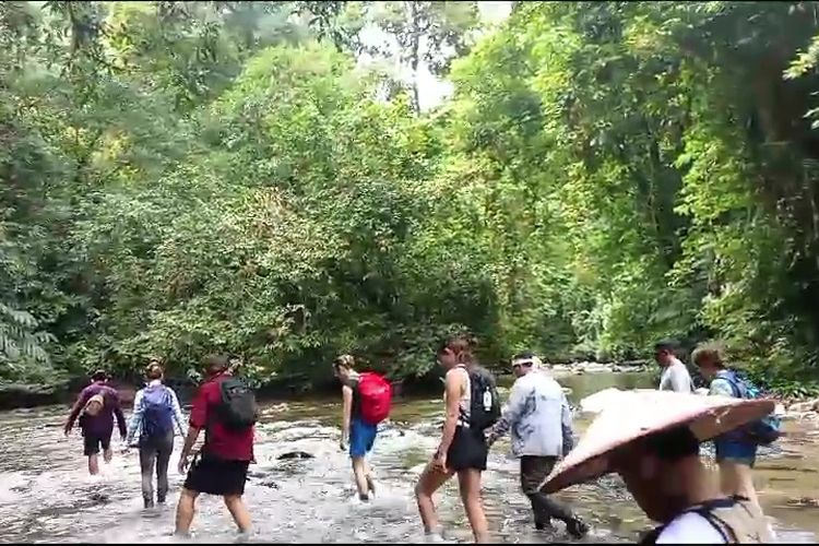 Para turis dari Universitas Western Australia saat menyusuri Hutan Adat Tane Olen Malinau, Kaltara. Tane Olen selalu menjadi referensi internasional dalam pelestarian dan keasriannya.