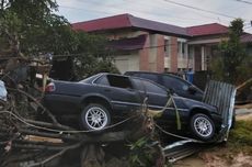 Capybara dan Kanguru Pohon Nemena Jadi Penghuni Baru Jatim Park 2
