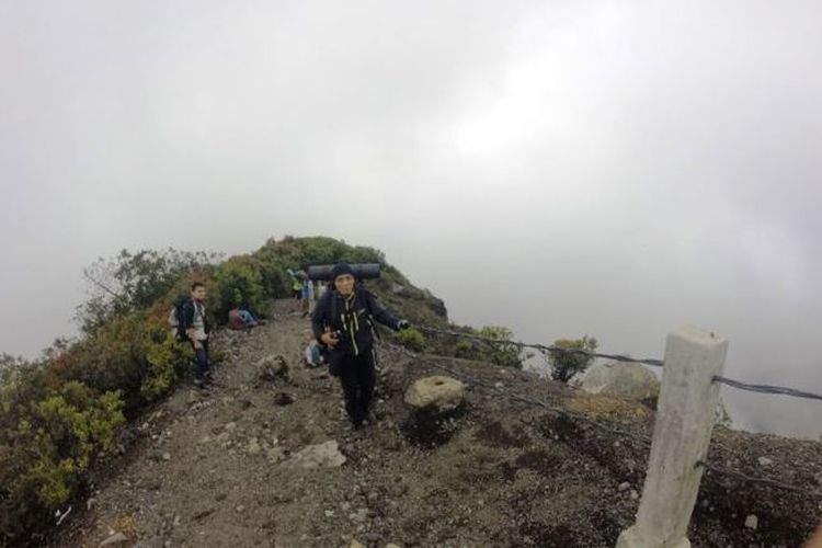 Ilustrasi - Pendakian Gunung Gede Pangrango