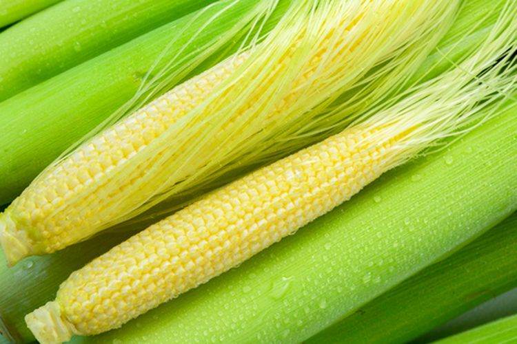 Baby corn
