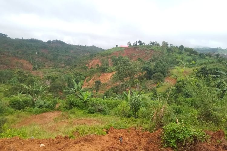 Kondisi longsor di Desa Pasirmadang, Kecamatan Sukajaya, Kabupaten Bogor, Sabtu (3/2/2020).