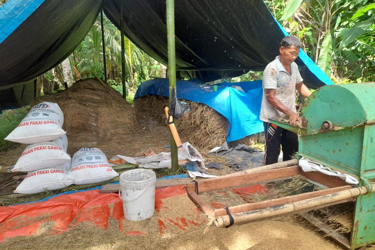 Penambangan emas ilegal berdampak pada petani yang mendatangkan banjir dan berpotensi menyebabkan gagal panen