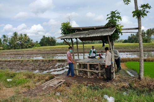 Sempat Dikira Boneka, Petani Temukan Bayi Laki-laki di Gubuk Pinggir Sawah