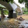 Riwayat Berang-berang di Sungai Ciliwung Depok: Hewan Akuatik yang Kian Langka Akibat Perburuan Besar-besaran