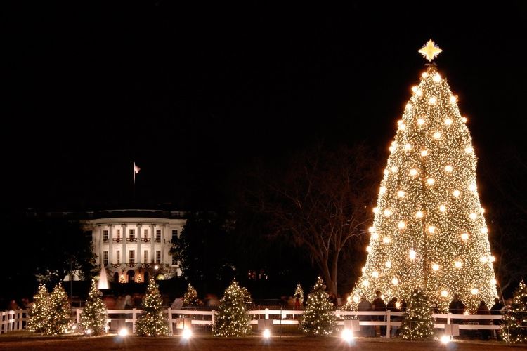 Enchant Christmas, Washington, DC, Amerika Serikat