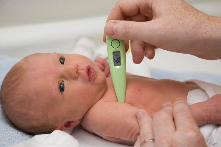 Ilusrasi mengukur suhu tubuh bayi