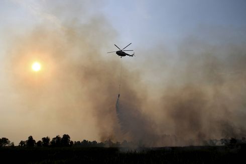 Disegel, Lahan Milik 5 Perusahaan Sawit yang Terbakar di Kalimantan Barat