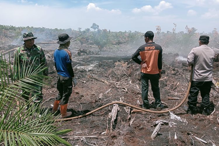 Kabut Asap Karhutla Aceh Barat Mulai Selimuti Pemukiman Warga