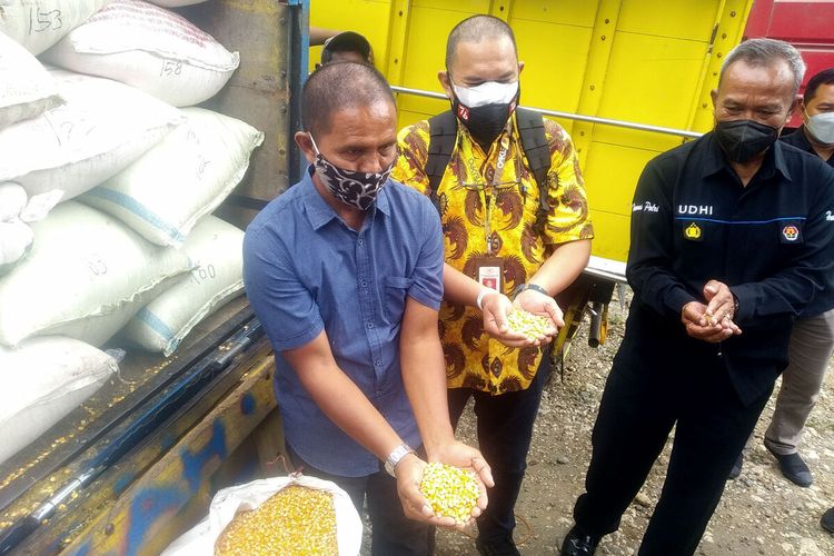 Suroto memeriksa jagung pemberian Presiden Jokowi untuk dirinya, Senin (20/9/2021)