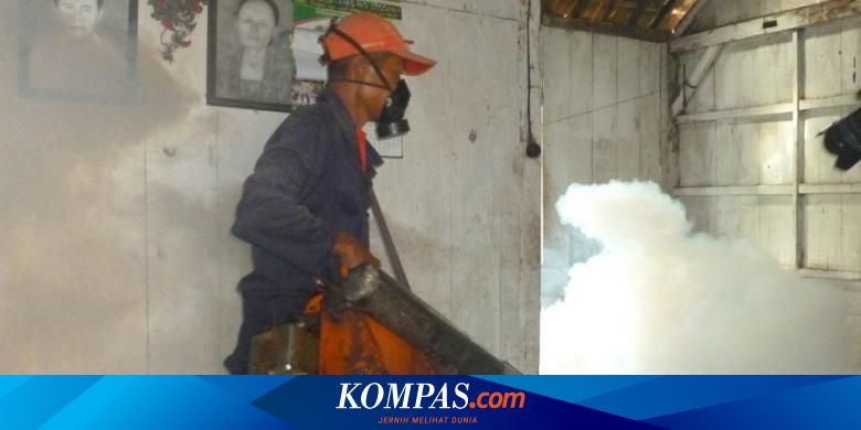 Bisnis Penyedia Jasa Fogging Omzet Hingga Rp 15 Juta Per Minggu Halaman All Kompas Com