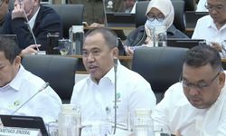 Kemenhut Sebut 191.790 Hektar Hutan Dibuka untuk Tambang Ilegal