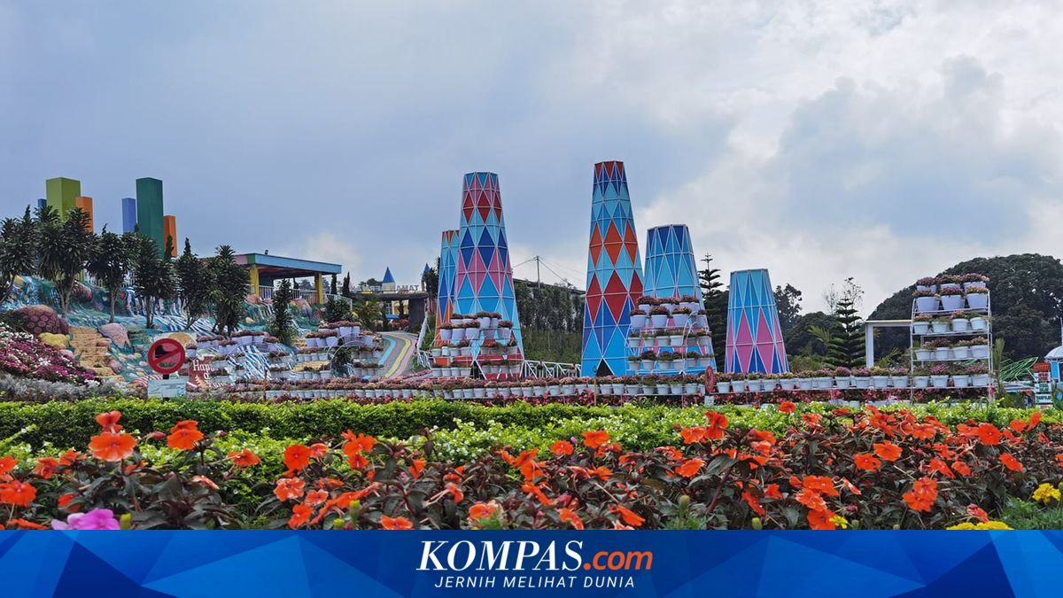Panduan Perjalanan ke Taman Bunga Celosia dari Salatiga untuk Liburan Keluarga