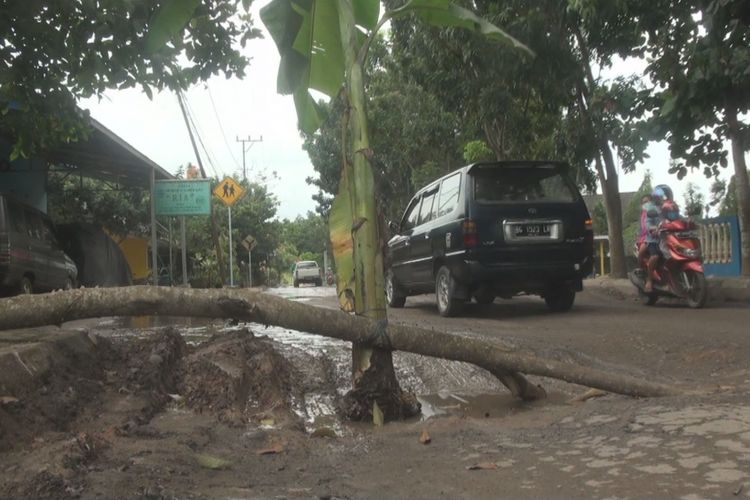 Sebagai bentuk protes jalan rusak dan tidak kunjung diperbaiki, warga Perumahan Guru Kutaraya Kayuagung Ogan Komering Ilir Sumatera Selatan menanam pohon pisang di tengan jalan.