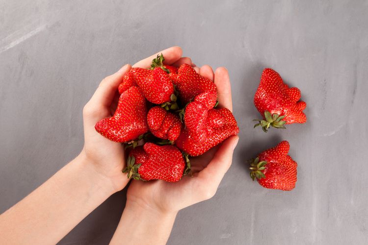 Buah stroberi yang tidak lolos sortir etalase supermarket karena bentuknya yang dianggap tak sempurna.