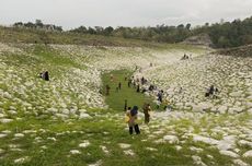 Kering sejak Maret 2024, Waduk Rajui Jadi Spot Instagramable di Aceh