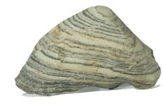 Batuan Sedimen: Definisi, Klasifikasi, dan Karakteristiknya