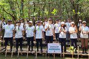 ZTE Wujudkan Misi 'One Tree, One Future', Tanam 500 Pohon Mangrove di PIK