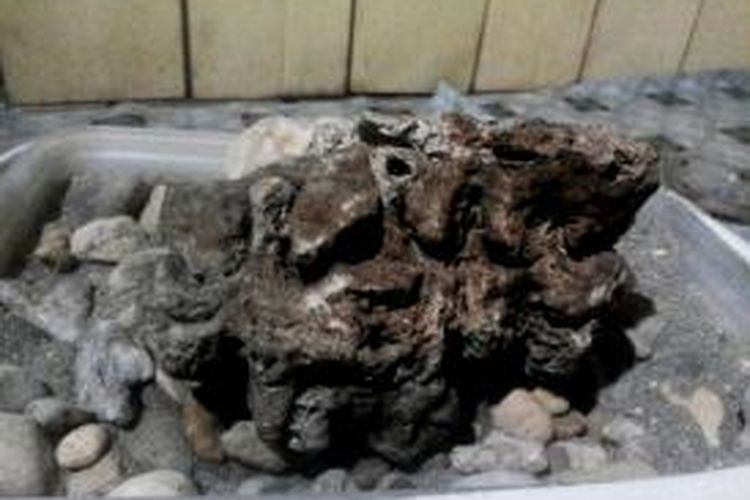 Batu alam yang bertuliskan lafaz Allah. Batu ini ditemukan Rahmat (27), di benteng liwu, Kecamatan Lakudo, Kabupaten Buton Tengah